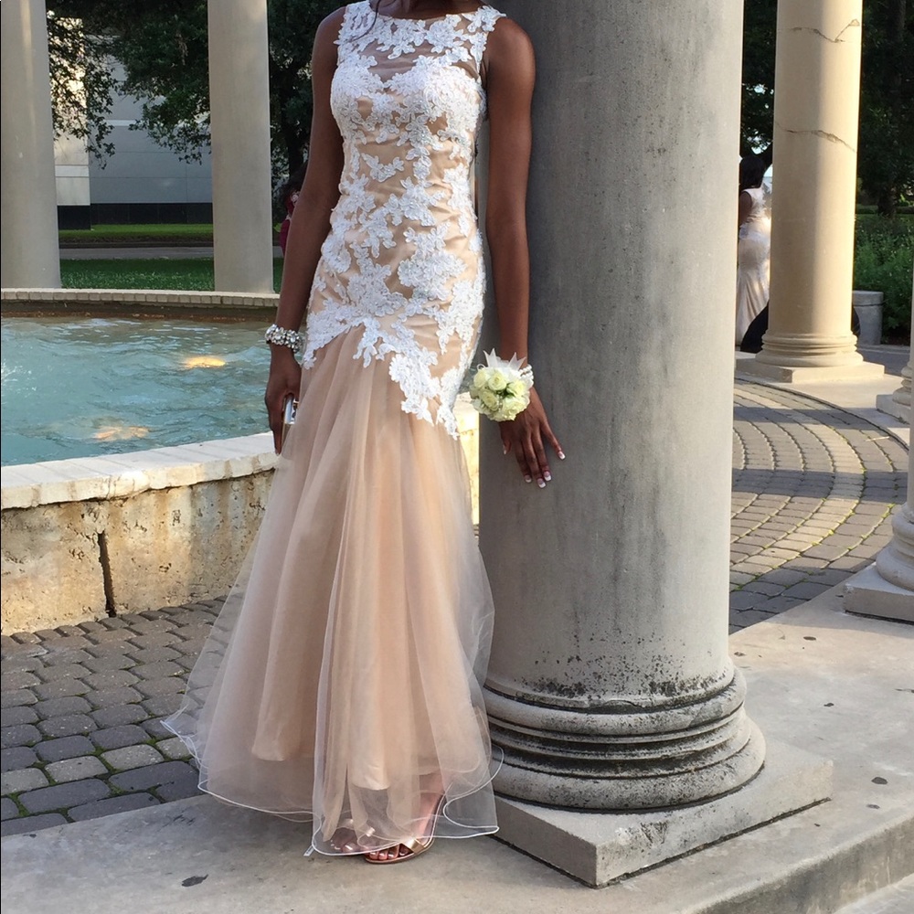 Lace embroidery dress with tulle bottom